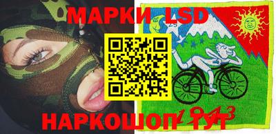 стафф Бугуруслан