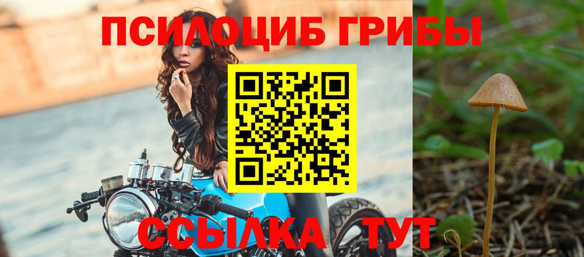 Псилоцибиновые грибы GOLDEN TEACHER  где купить наркоту  Конаково  Псилоцибиновые грибы GOLDEN TEACHER  Вход с VPN 